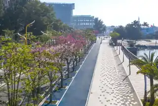 Running Track at Danube Breez